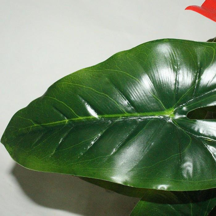 20181113_135447_2109