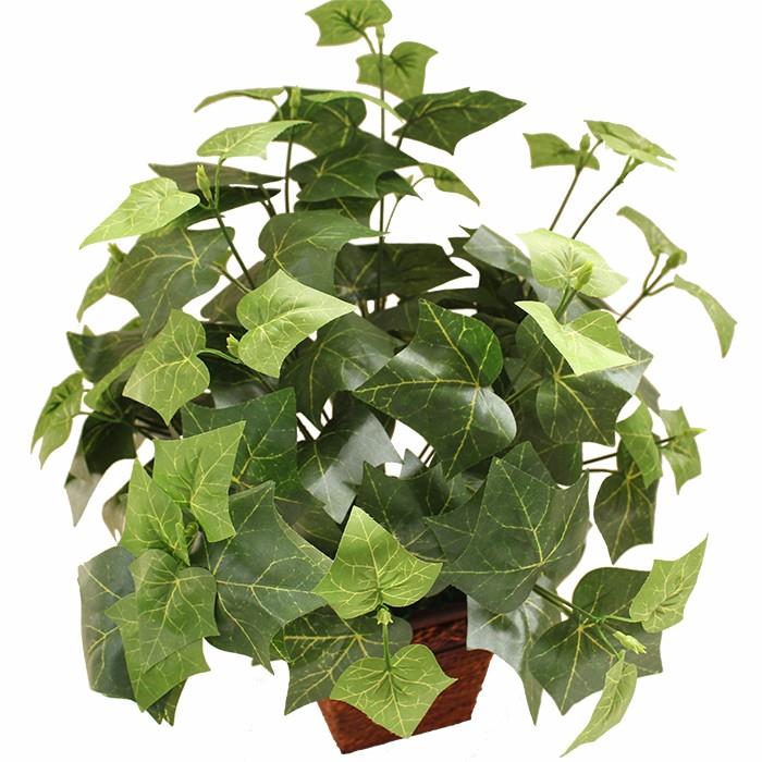 20181113_140636_2265