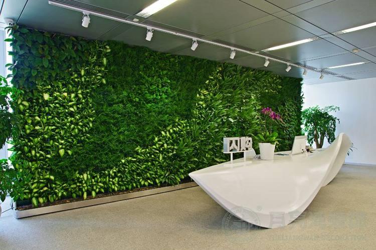 artificial plant wall