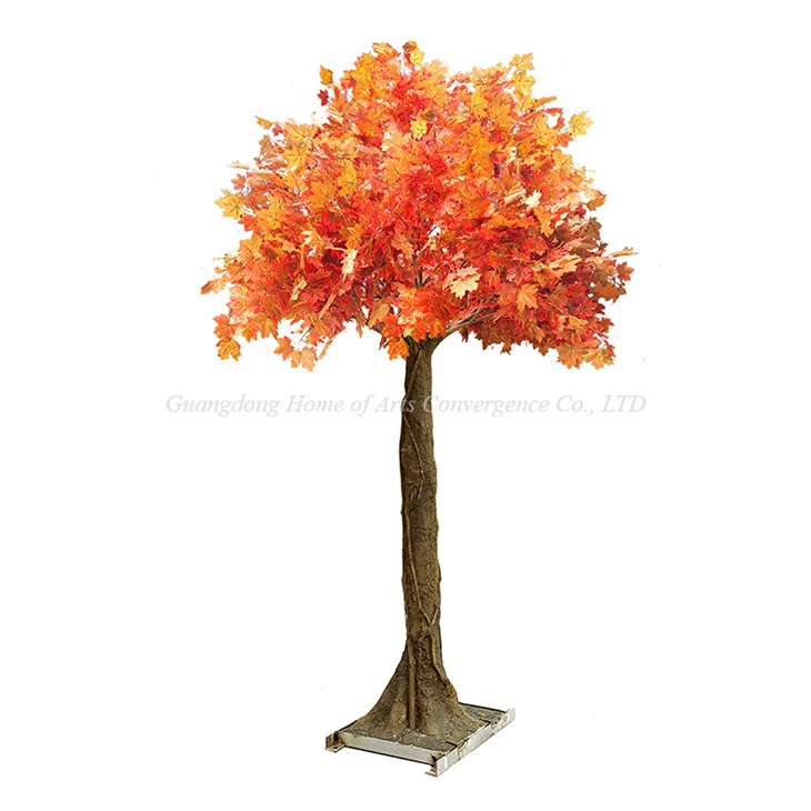 Árbol de arce falso amarillo de 9 pies