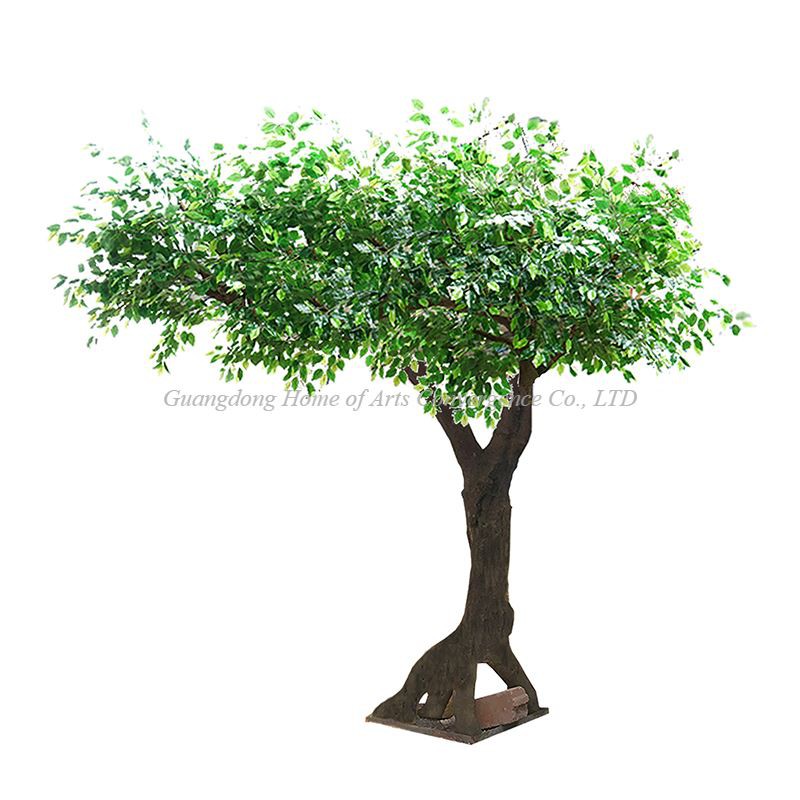 Simulación banyan árbol un lado