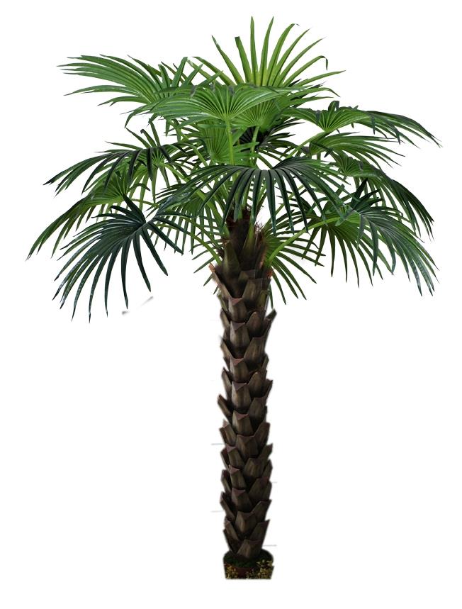 Árbol de Livistona Artificial
