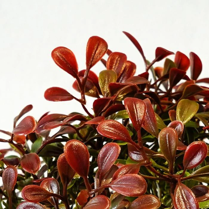 f71e8ce372525bbbfbc80f419b45a883