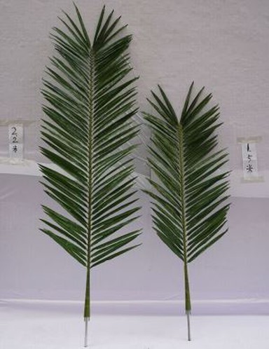 Hojas de coco artificial