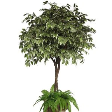 Árbol de los bonsais de ficus artificial