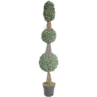 Plantas artificiales de la casa