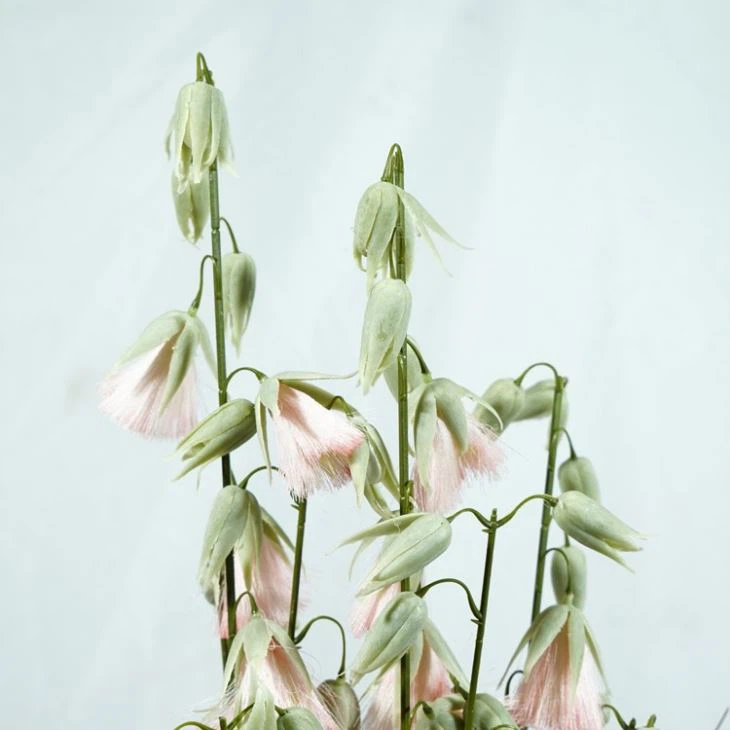 5ft Fake Reed Grass Artificial Pink Potted Plants With Planter For Floor Decoration