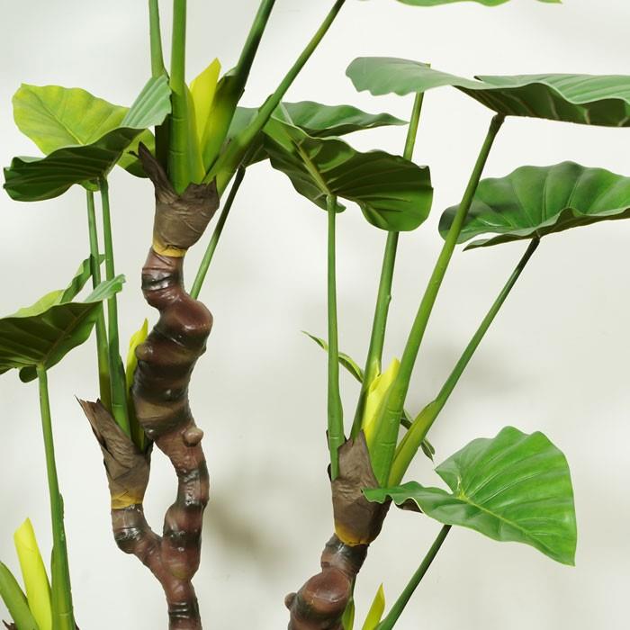 Fake Philodendron