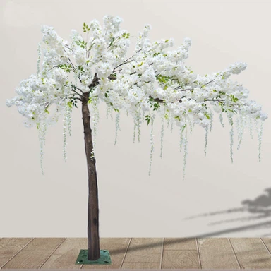 Saludo Flor de cerezo Árbol Blanco Wisteria Flor