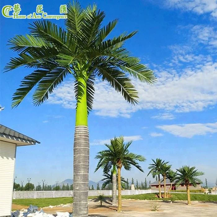 Decorative Palm Trees