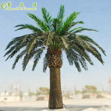 Grandes Palmeras En Venta