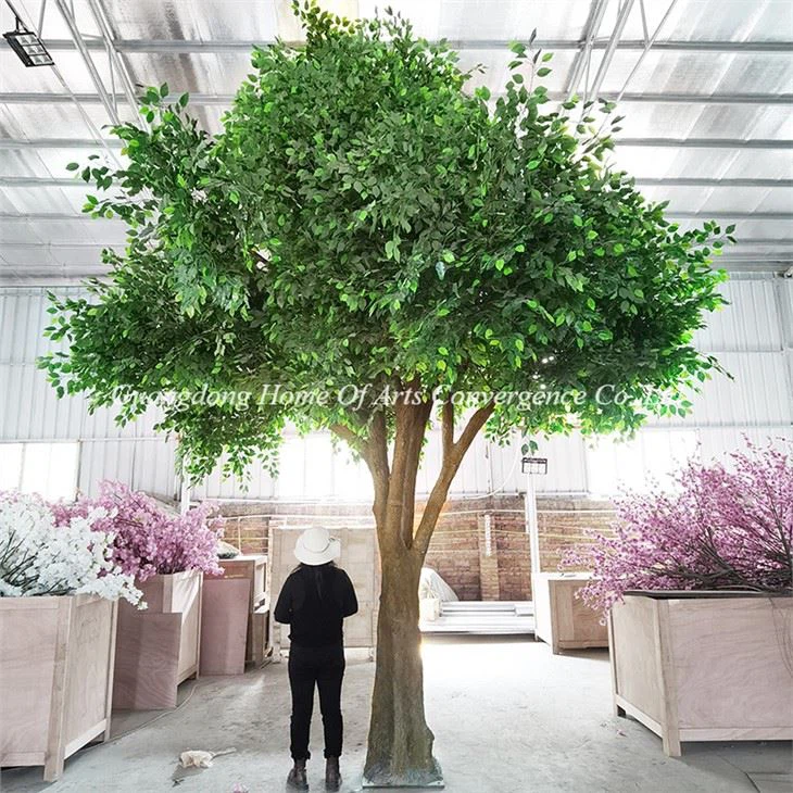 6m Large Fake Ficus Tree