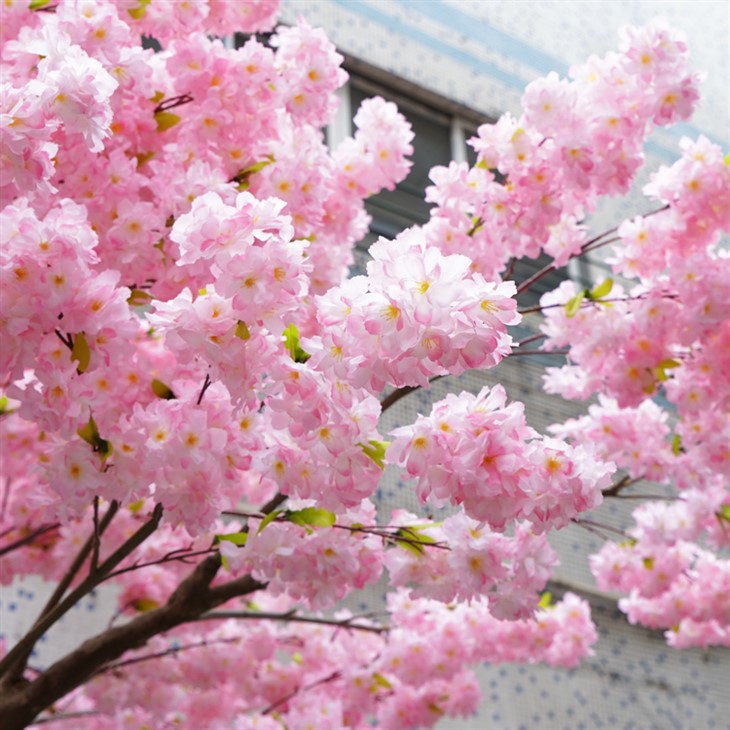 Silk Cherry Blossom Tree